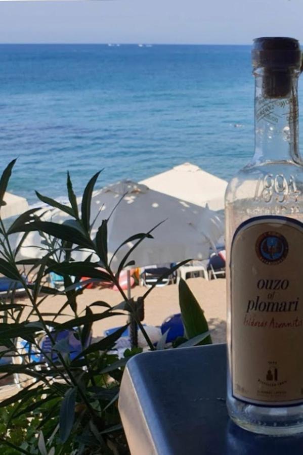 Mediterranean Dream Voroklini Bagian luar foto