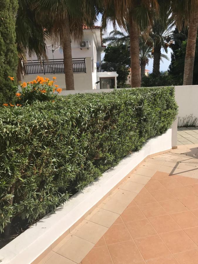 Mediterranean Dream Voroklini Bagian luar foto